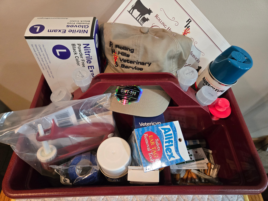 Image of Auction Item