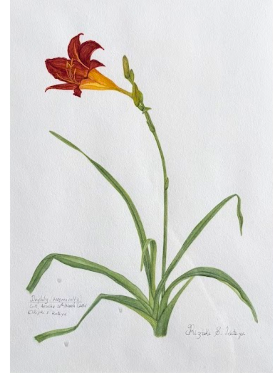 Image of Auction Item