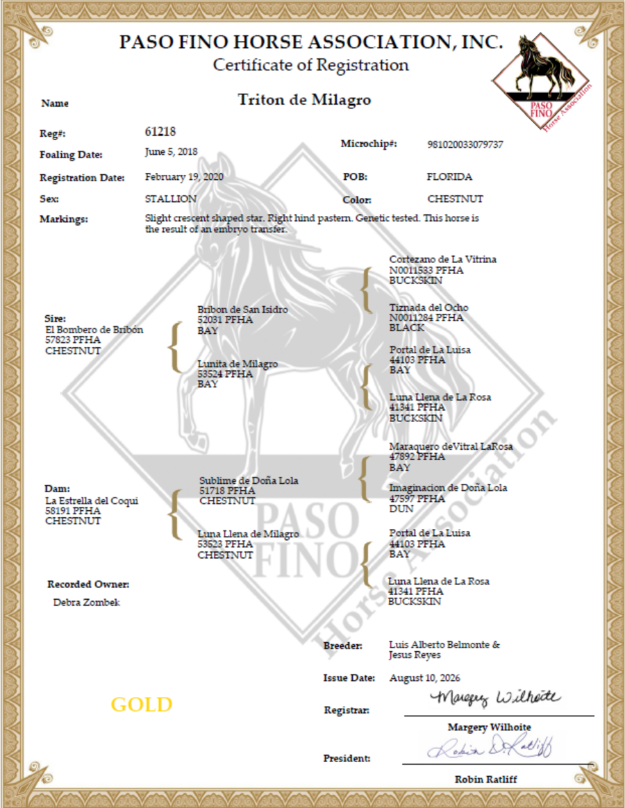 Image of Auction Item