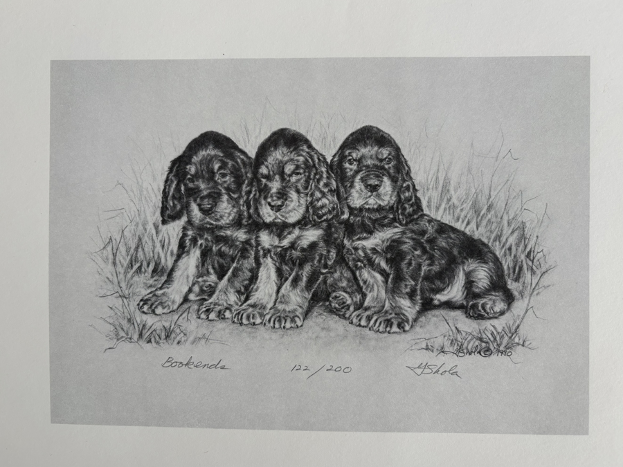 Image of Auction Item