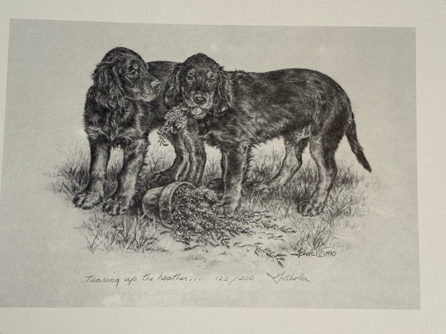 Image of Auction Item
