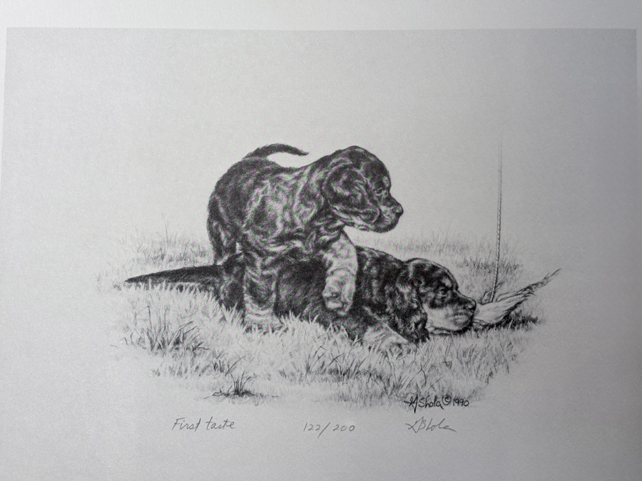 Image of Auction Item