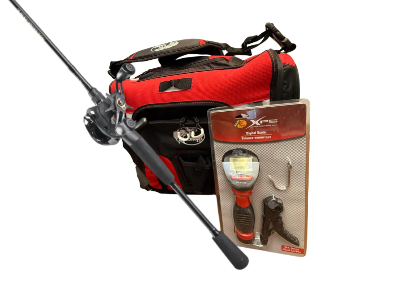 Image of Auction Item