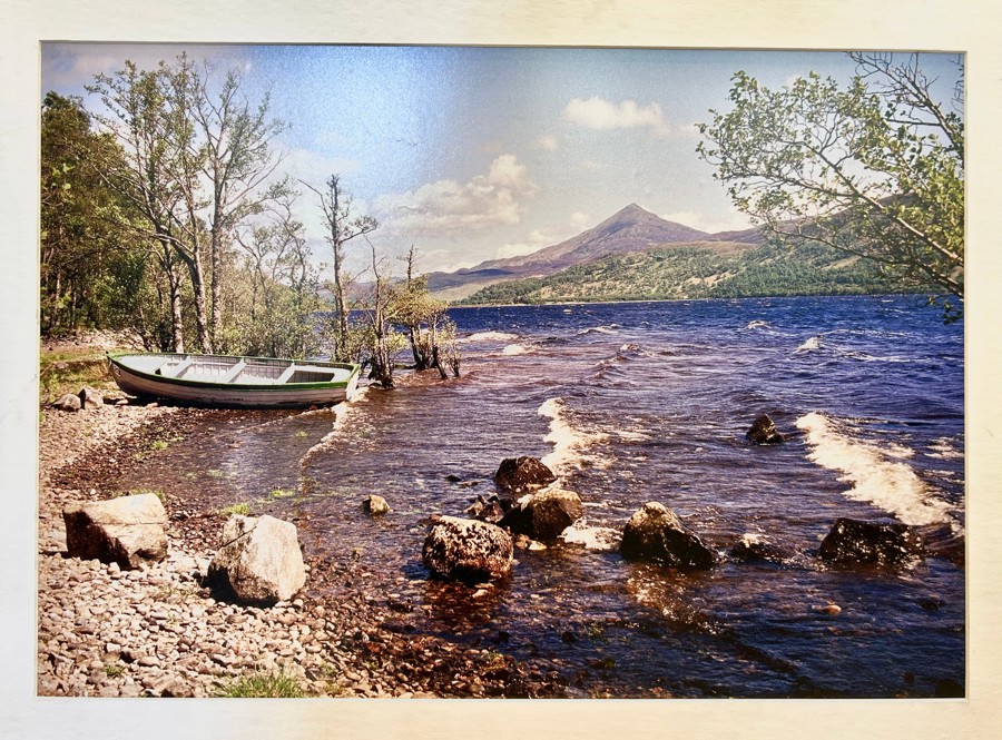 Image of Auction Item