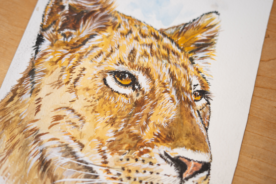 Image of Auction Item