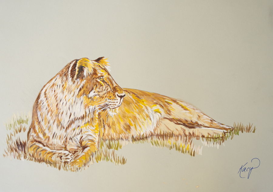 Image of Auction Item