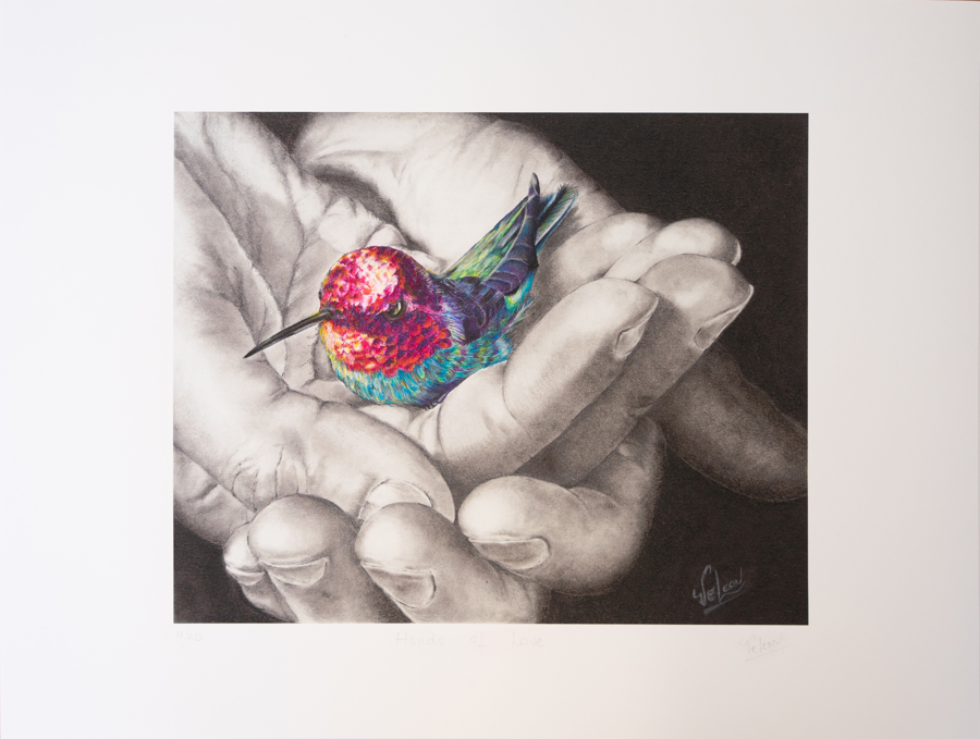 Image of Auction Item
