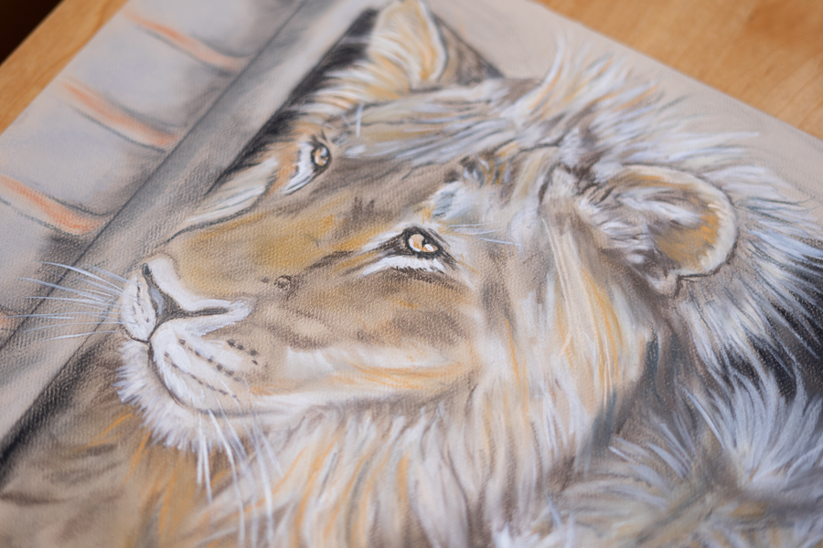 Image of Auction Item