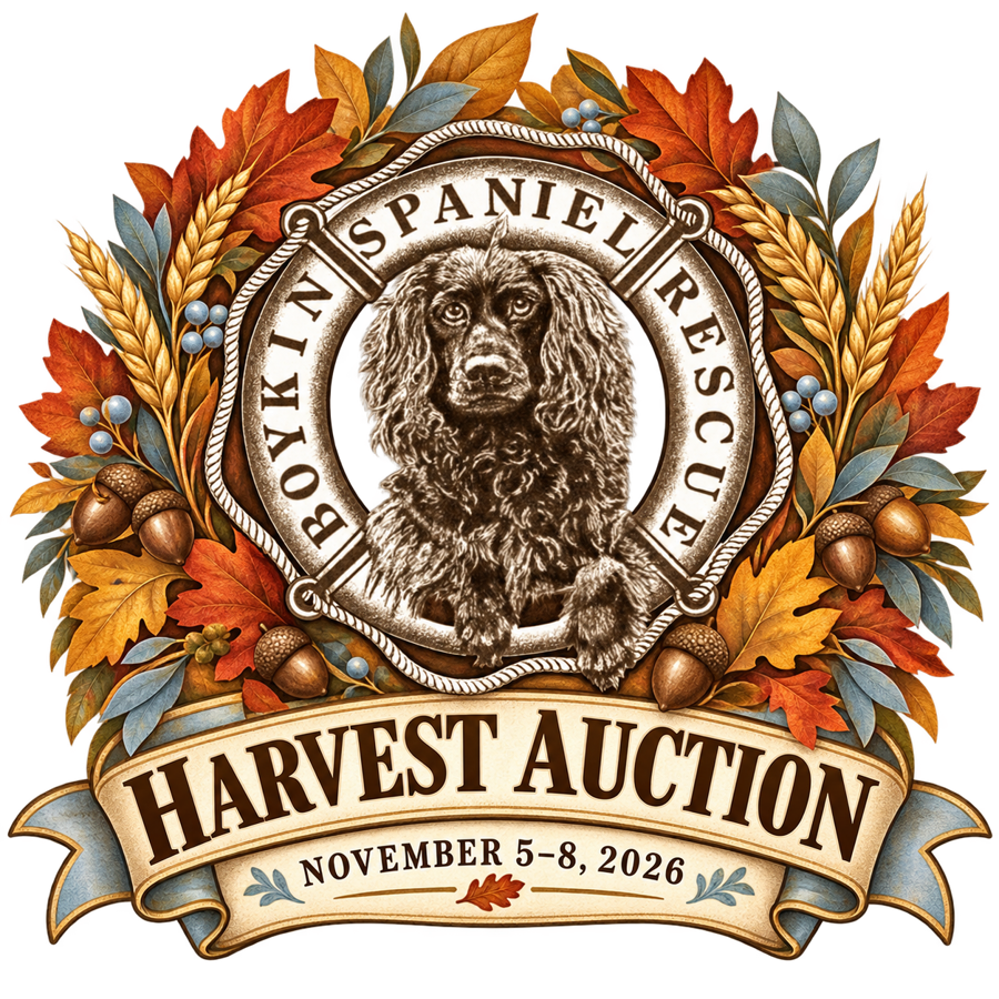 Organization Logo