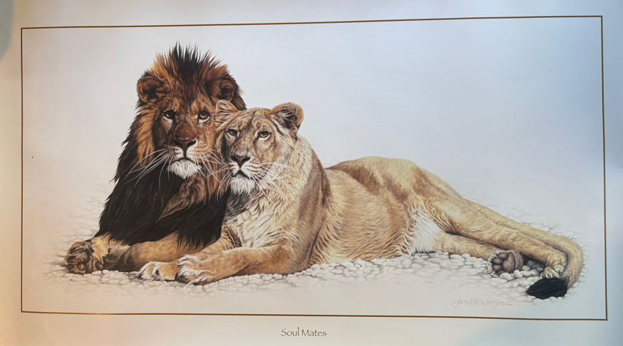 Image of Auction Item