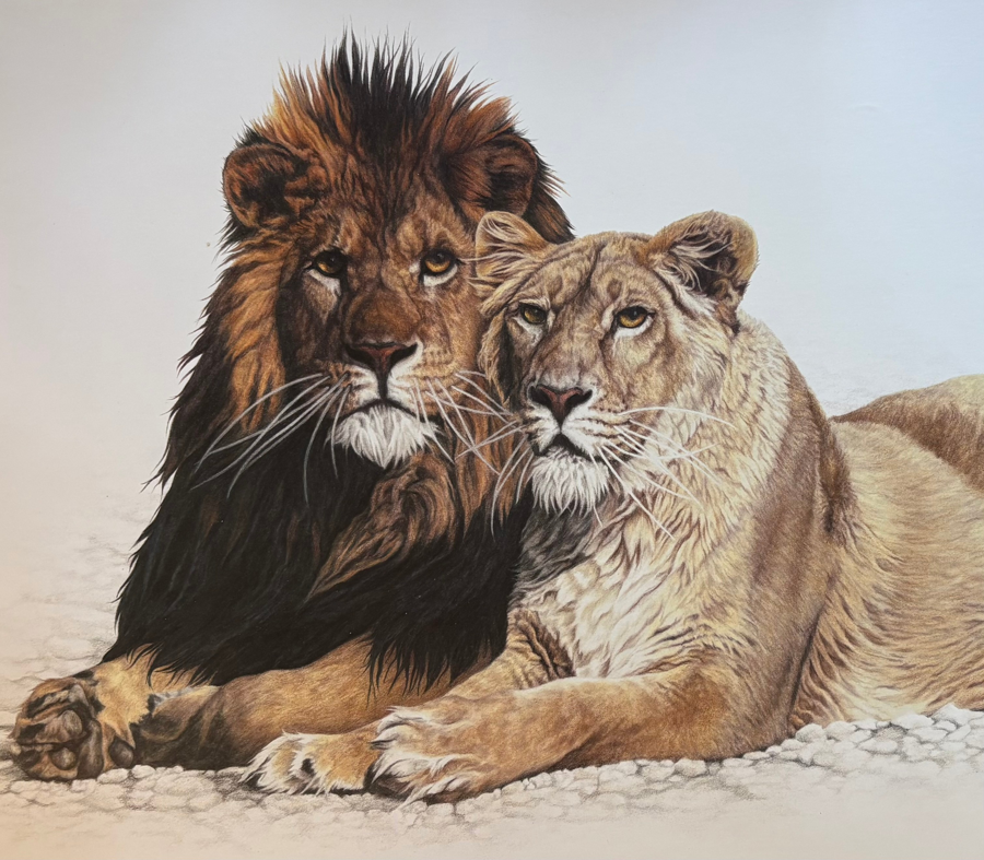 Image of Auction Item