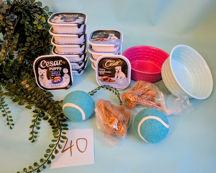 Image of Auction Item