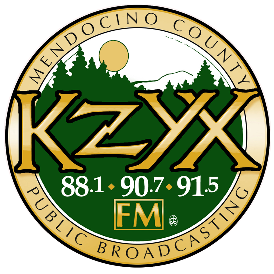 Organization Logo