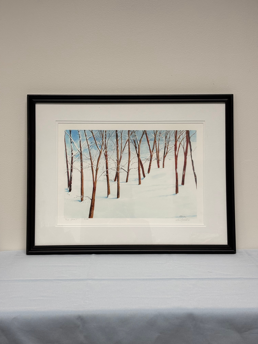 Image of Auction Item