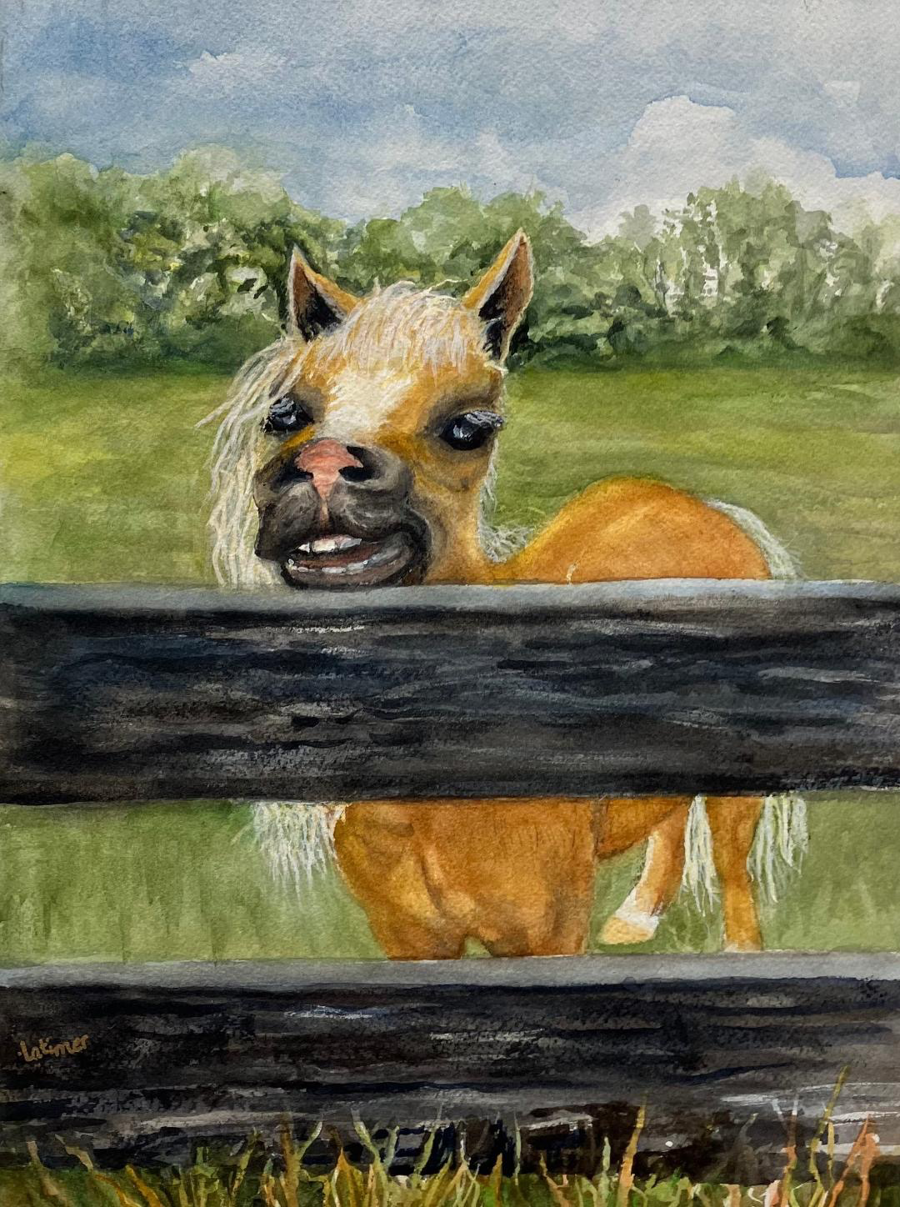 Image of Auction Item