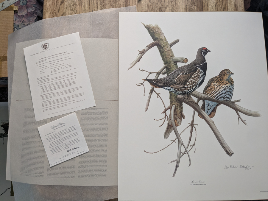Image of Auction Item