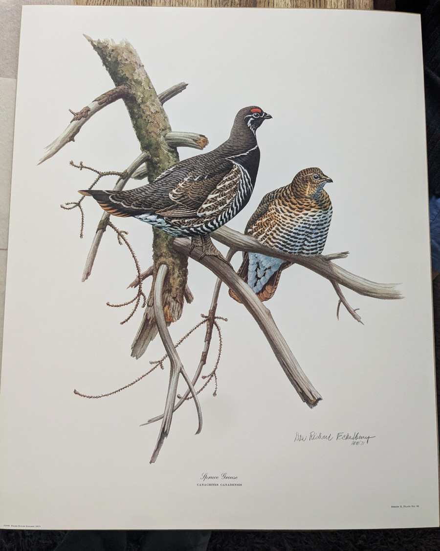 Image of Auction Item