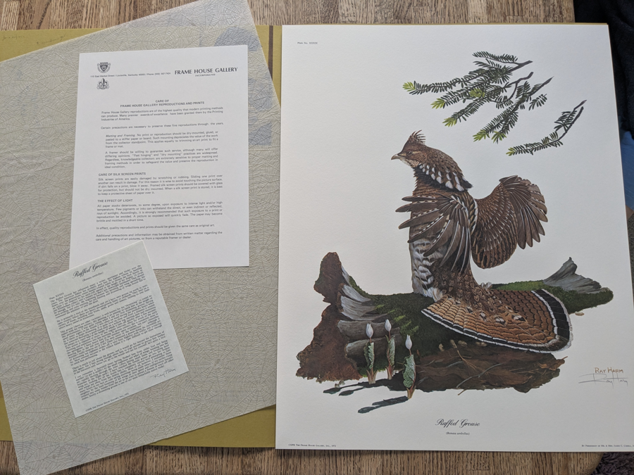 Image of Auction Item