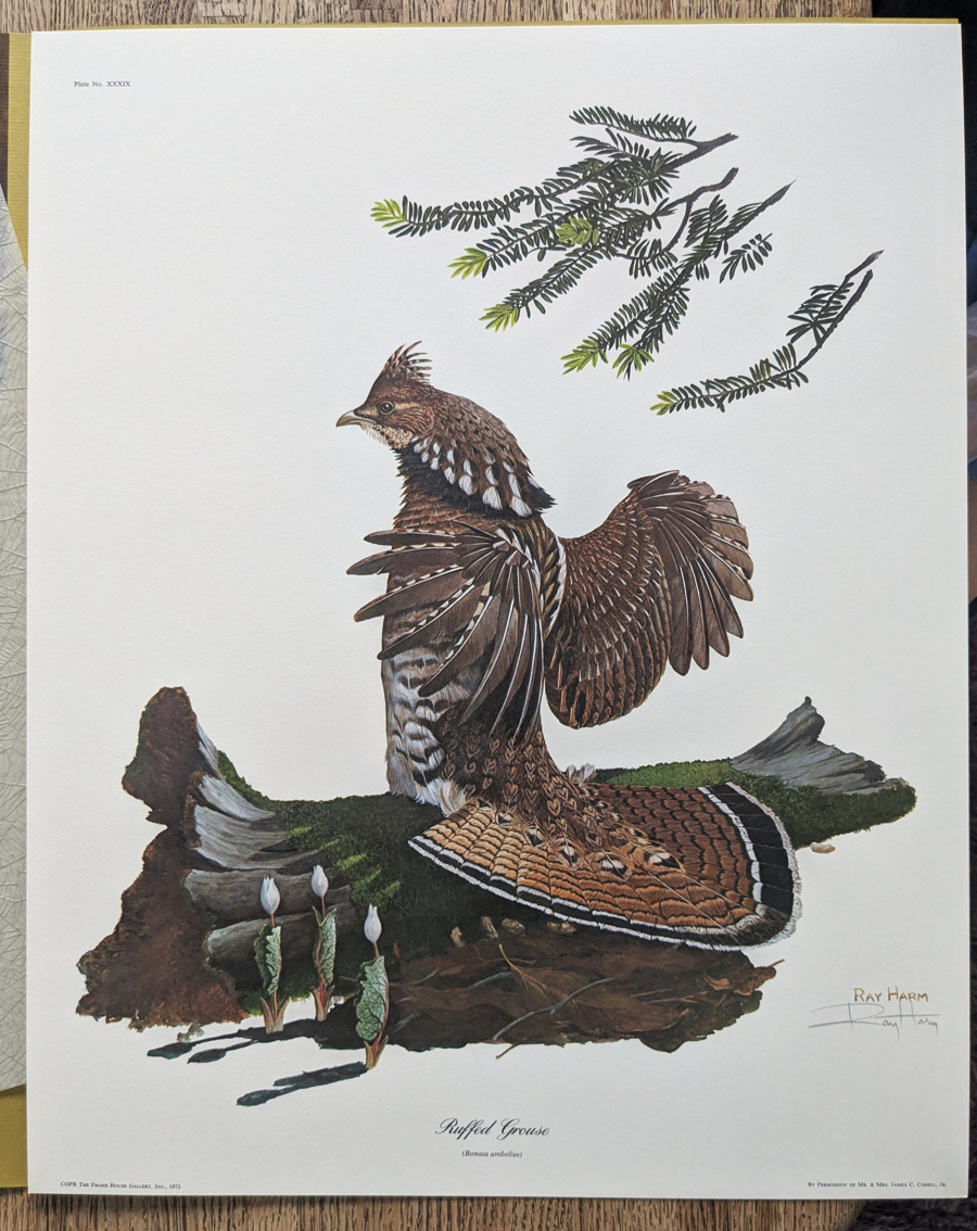 Image of Auction Item