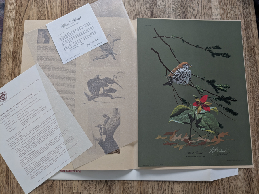Image of Auction Item