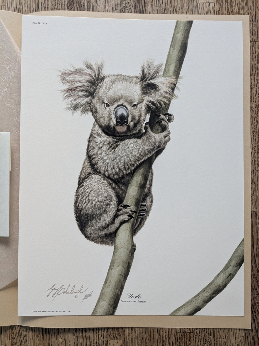 Image of Auction Item