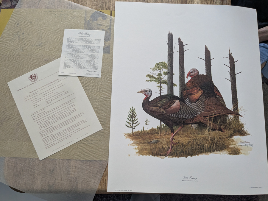 Image of Auction Item