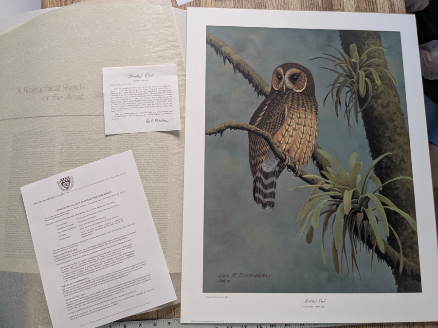 Image of Auction Item
