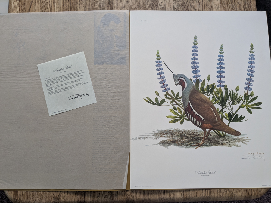 Image of Auction Item