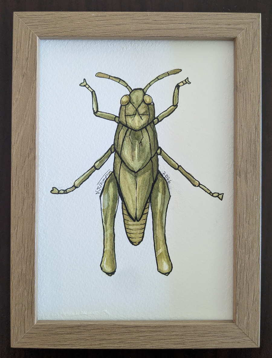 Image of Auction Item