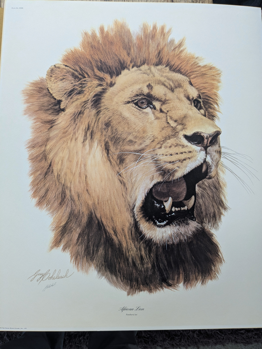 Image of Auction Item