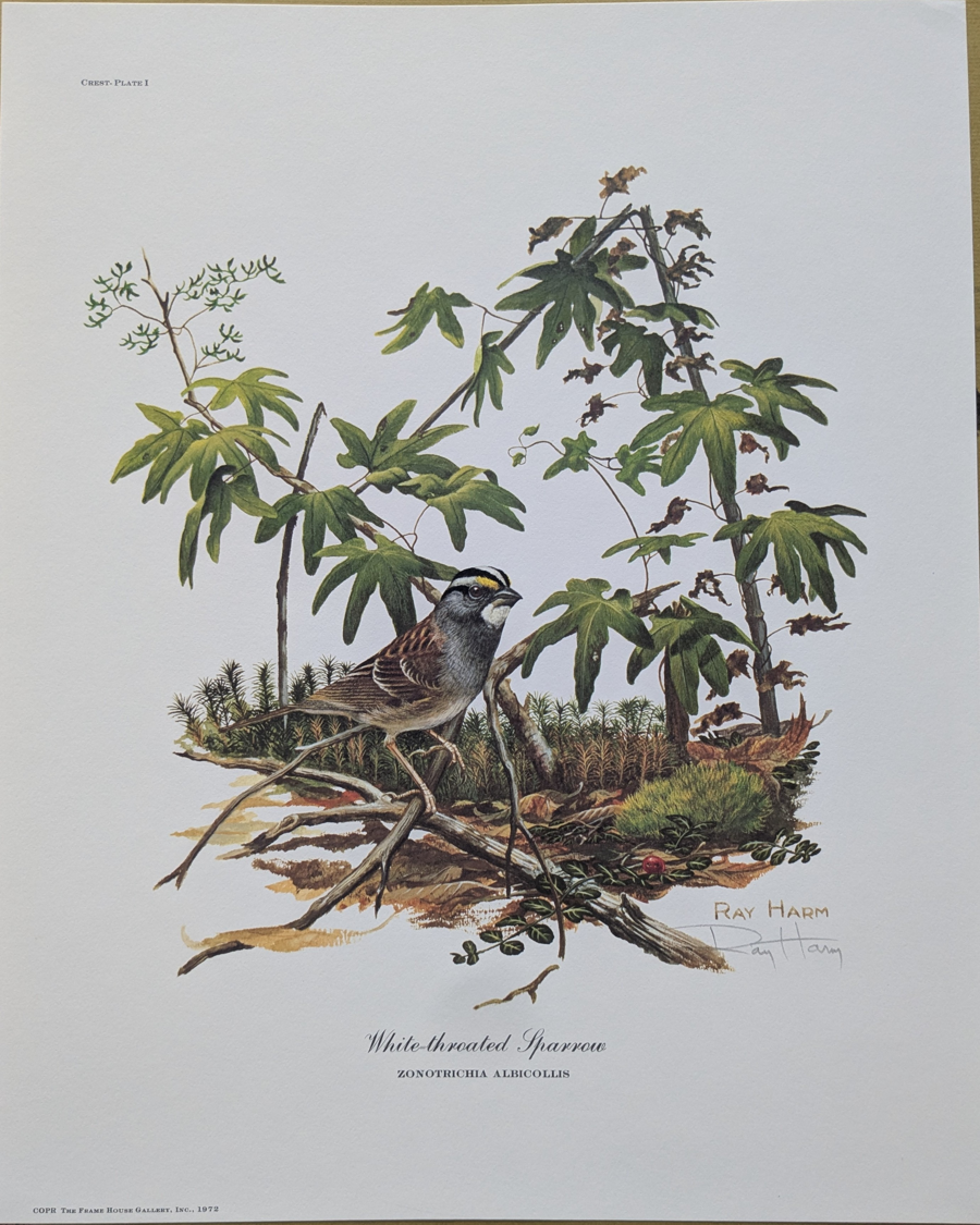 Image of Auction Item