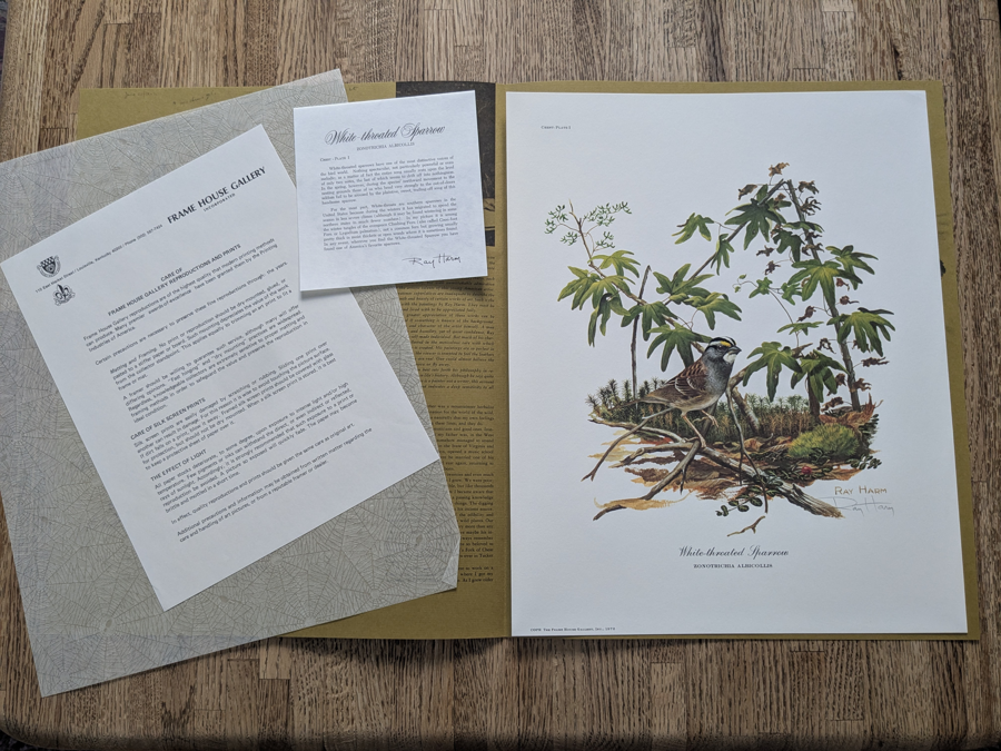 Image of Auction Item