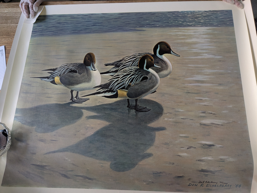 Image of Auction Item