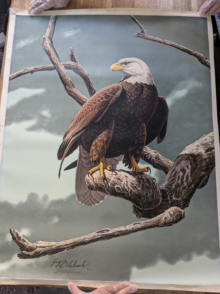 Image of Auction Item