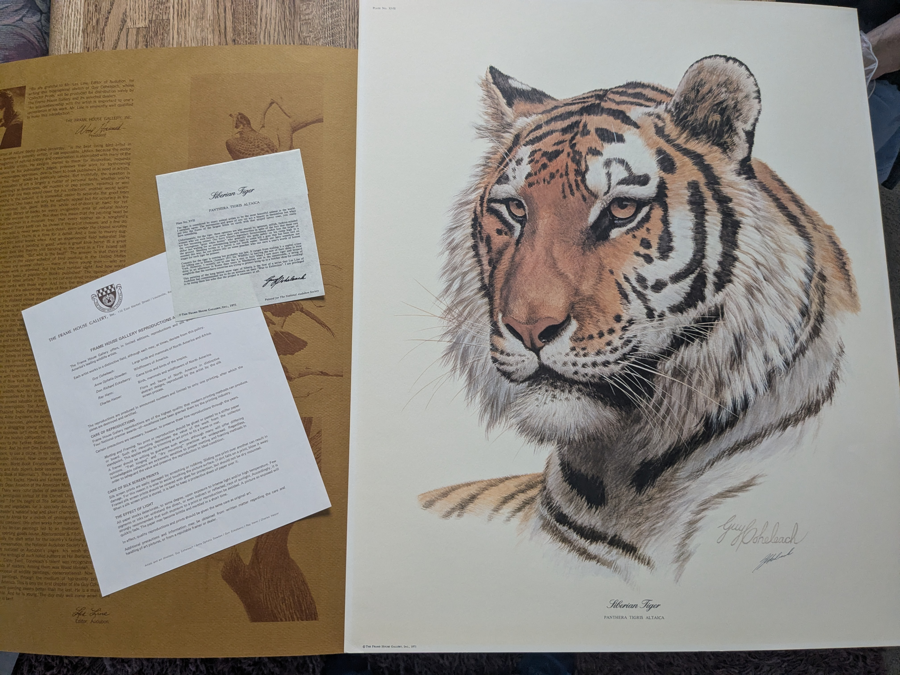 Image of Auction Item