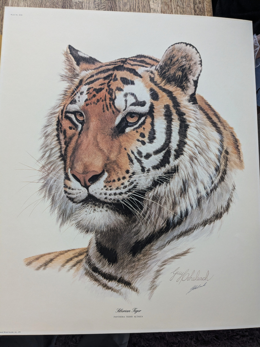 Image of Auction Item