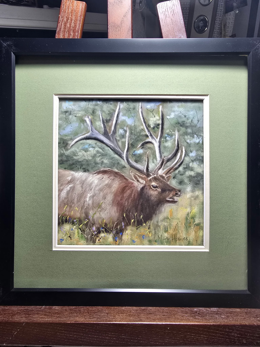 Image of Auction Item
