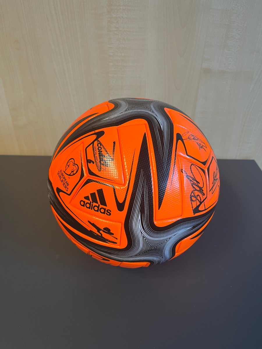 Image of Auction Item