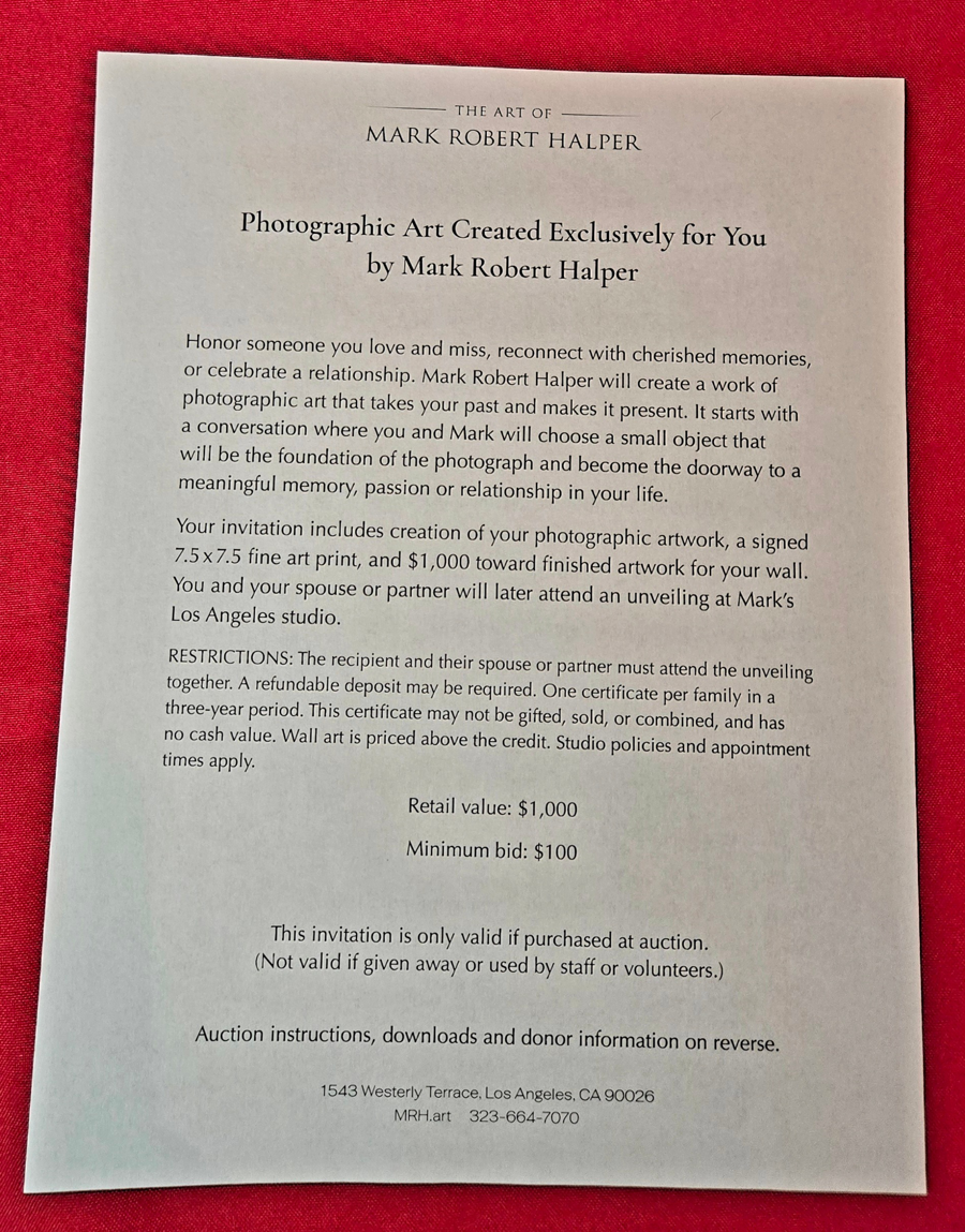 Image of Auction Item