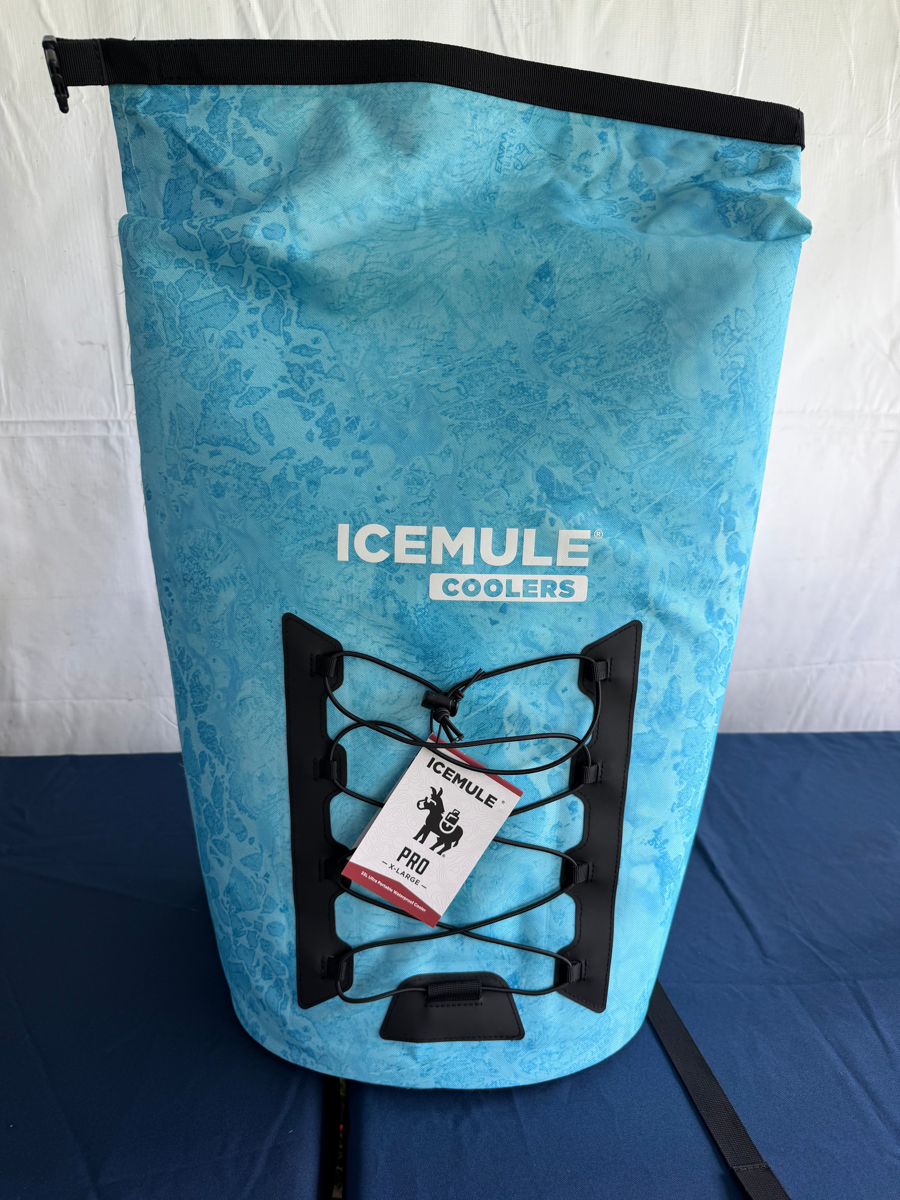 Image of Auction Item