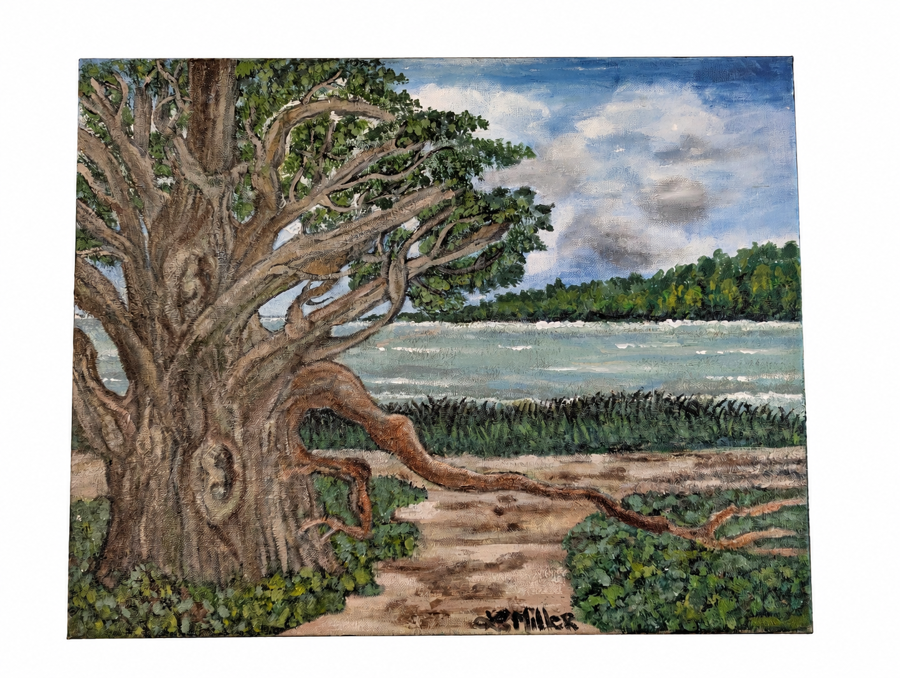 Image of Auction Item