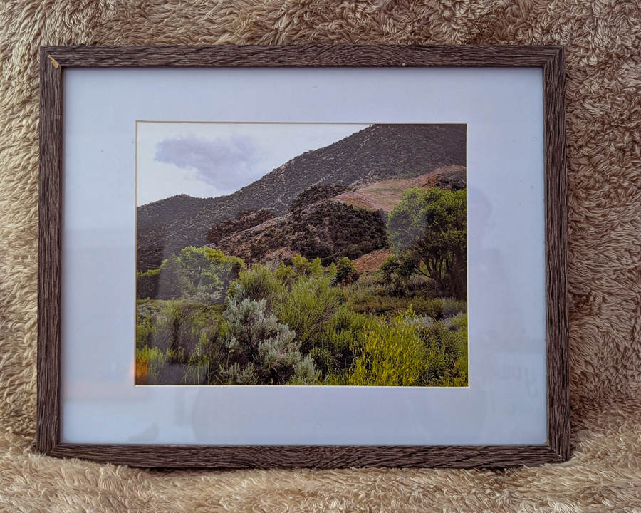 Image of Auction Item