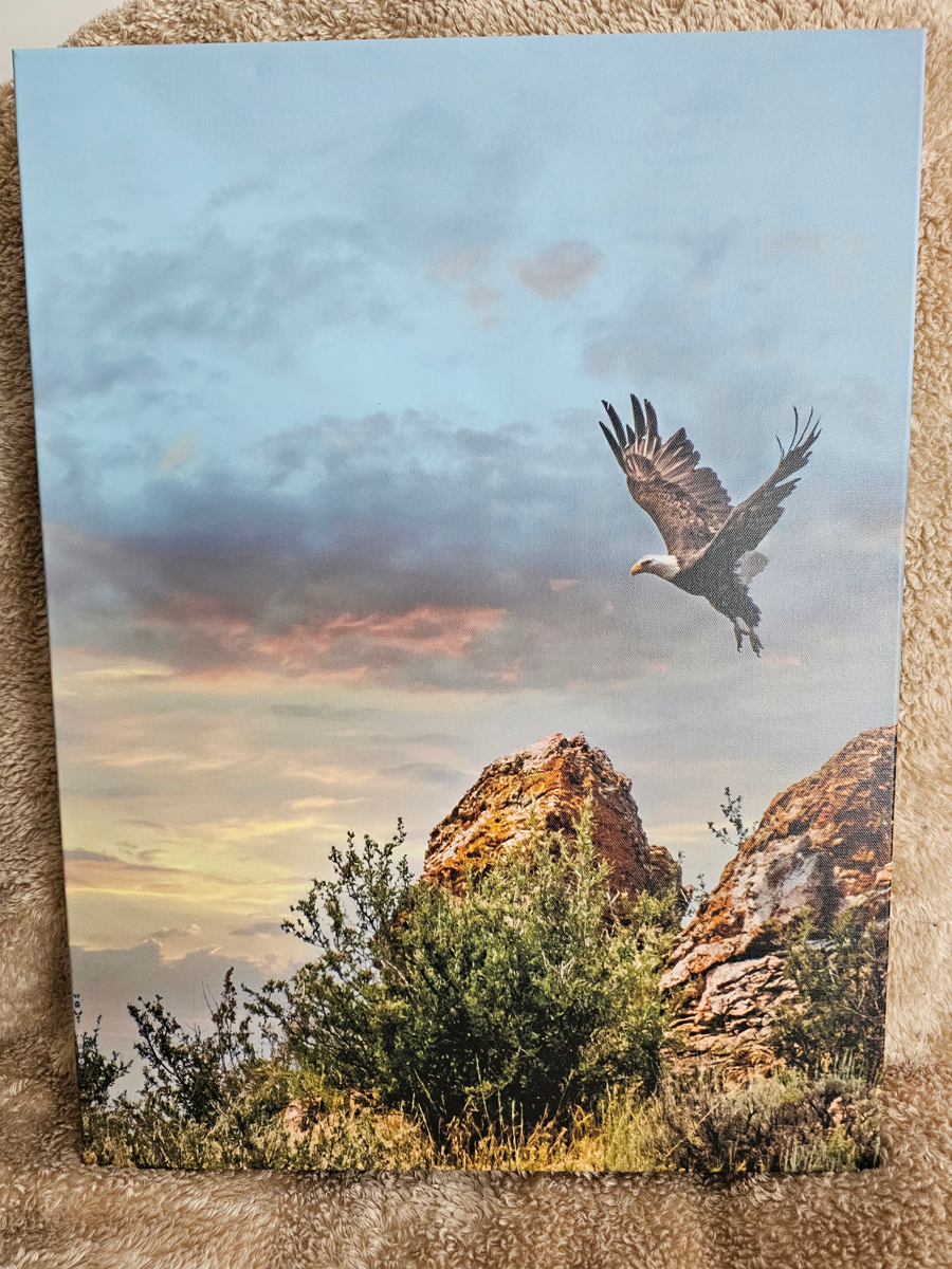 Image of Auction Item
